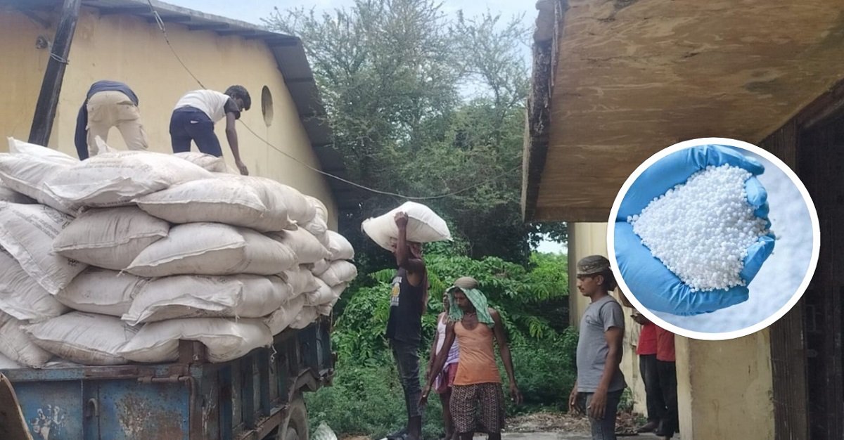 मधेसमा फेरि रासायनिक मल संकट, किसान चिन्तित